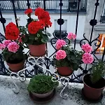 Appartement SAINTE ELISABETH - République